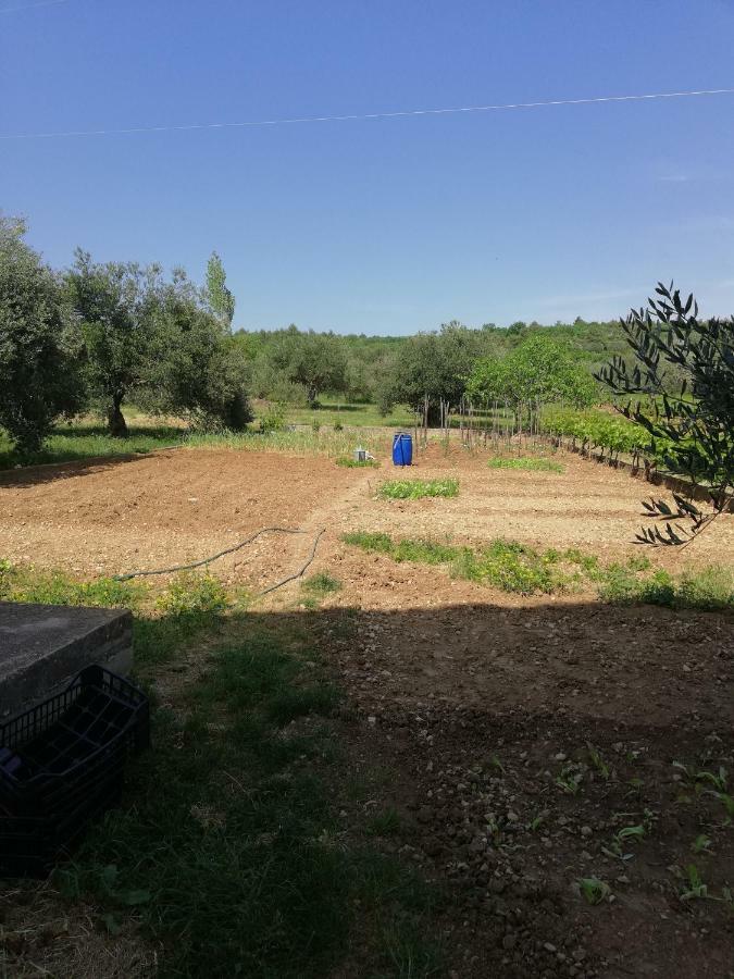 Apartmani Sladic Skradin Extérieur photo